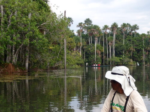 Lago Sandavol (Reserva Nacional Tambopata), Amazon, Peru.